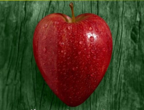 Gastronomische Dagen Van de Appel – Oktober 2019