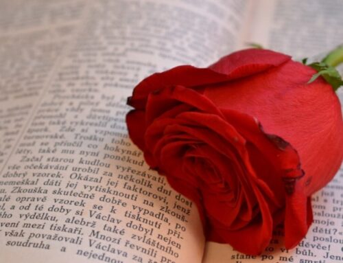 Diada de Sant Jordi – April 2020