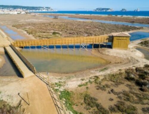 Guided tours in La Pletera – August 2020