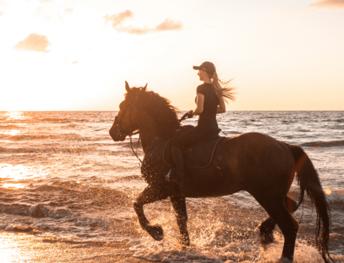 Ride on the seashore in Estartit.