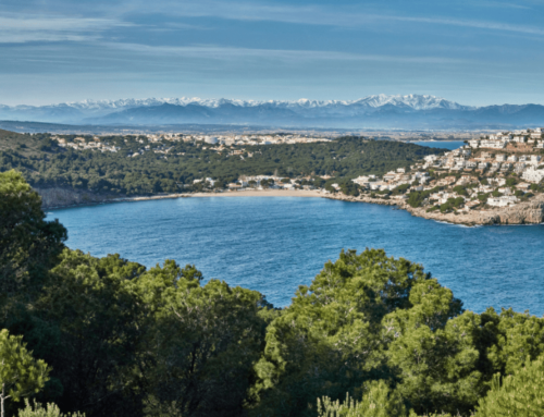 Marine Biodiversity of Cala del Montgó in Estartit