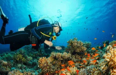 Buceo Estartit