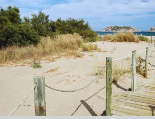 Guide des meilleures plages et criques de l’Estartit en 2026