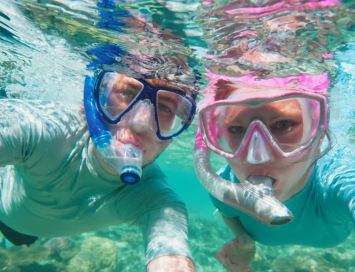 Snorkel en l’Estartit: Mejores zonas [2026]