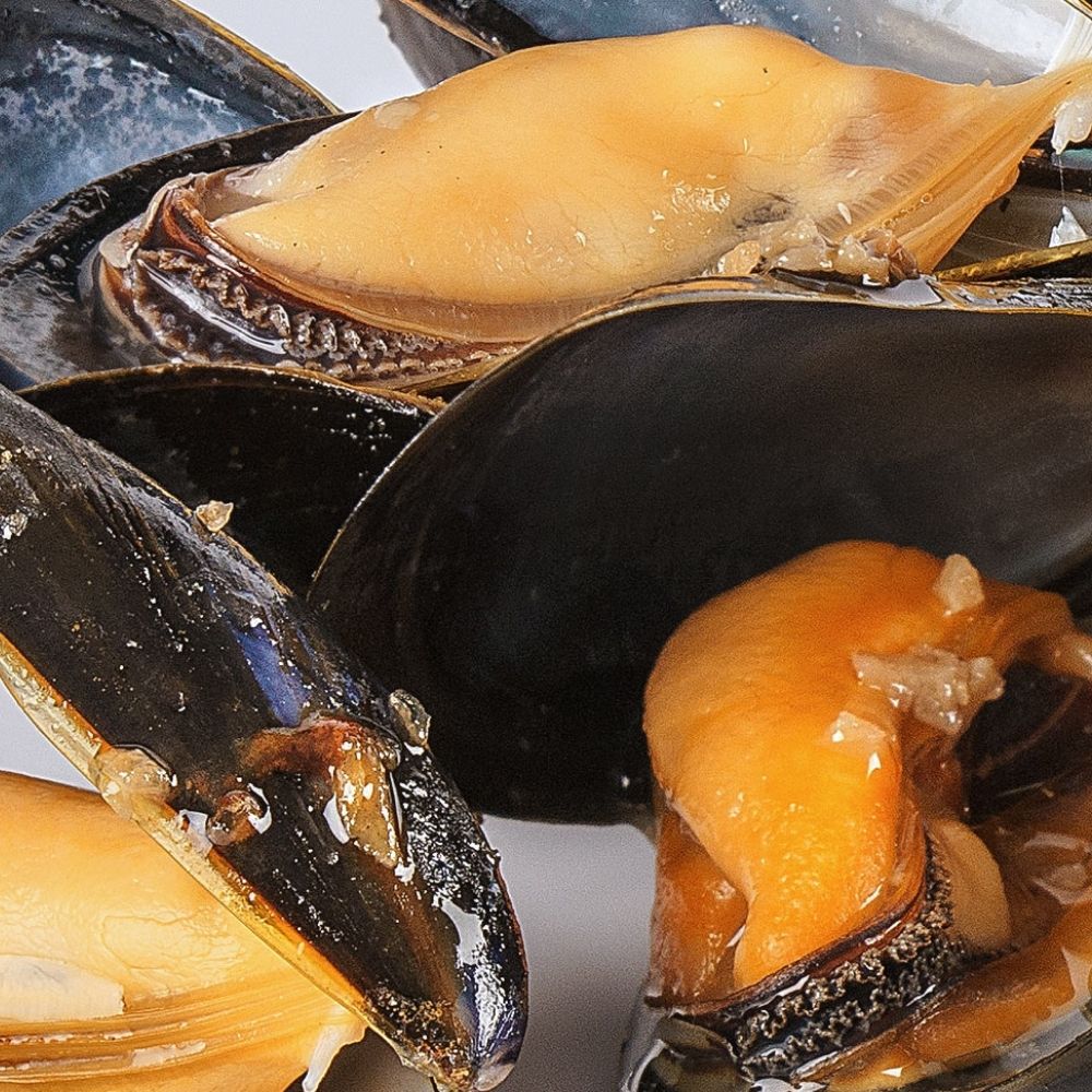 gastronomía en l’estartit gastronomía estartit