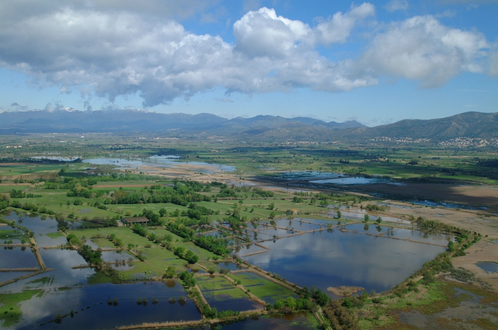 aiguamolls empordà