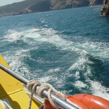 excursion barco islas medas