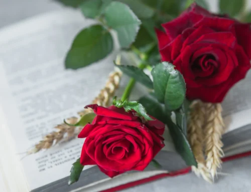 Saint George in L’Estartit 2026