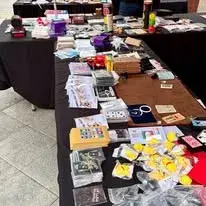 fimag_1 fimag torroella